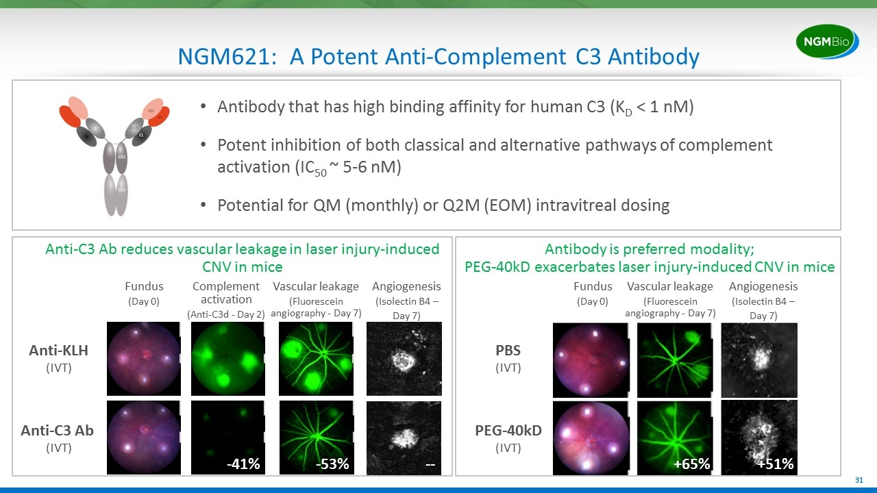 Slide 31