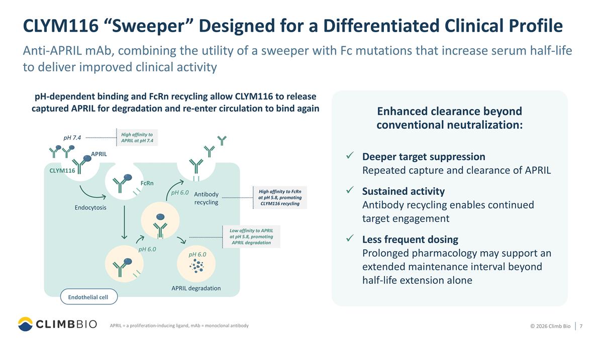 Slide 7