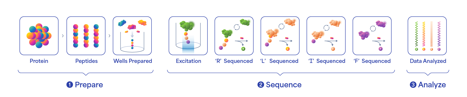 https://cdn.kscope.io/7df6315596147fa0987acef032d83e41-sequencing_workflow.jpg