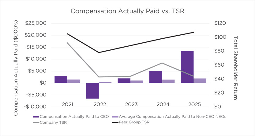 [MISSING IMAGE: bc_paidvstsr-pn.jpg]