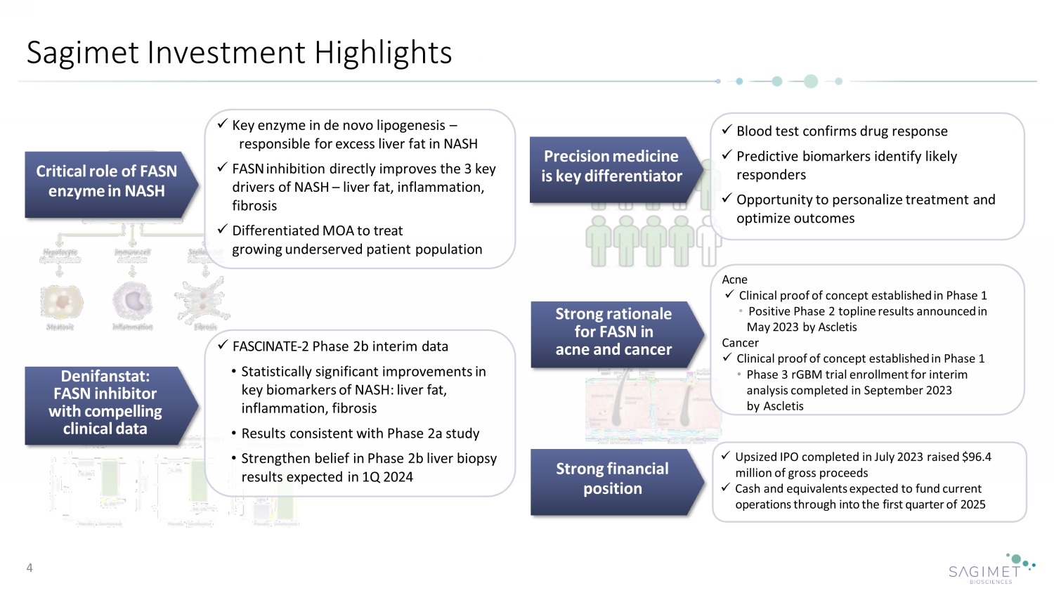 Denifanstat in NASH 7