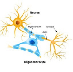 https://cdn.kscope.io/8c2f46b27c17e3a3977449826d4e24aa-img209024261_4.jpg