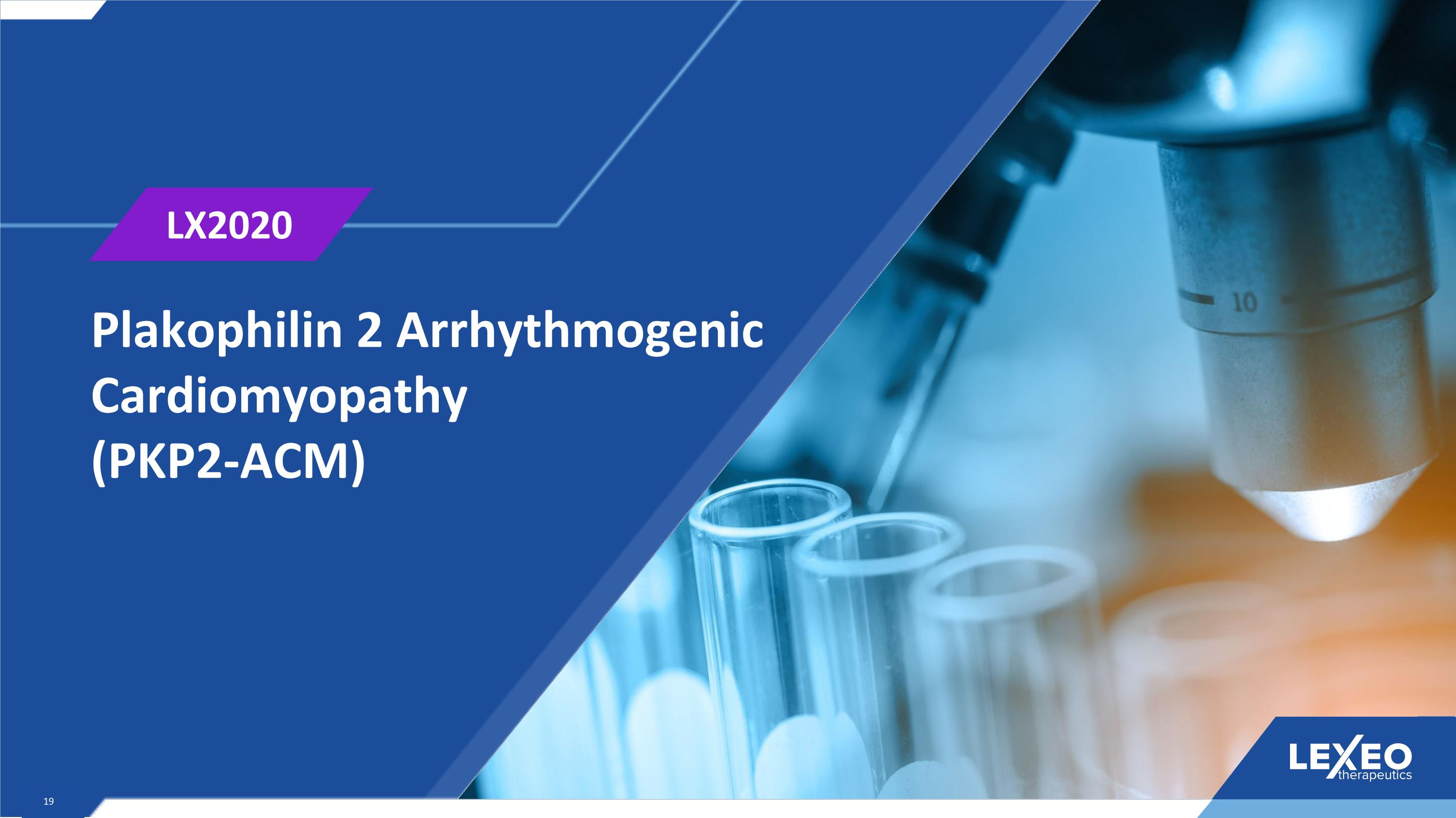 Slide 19