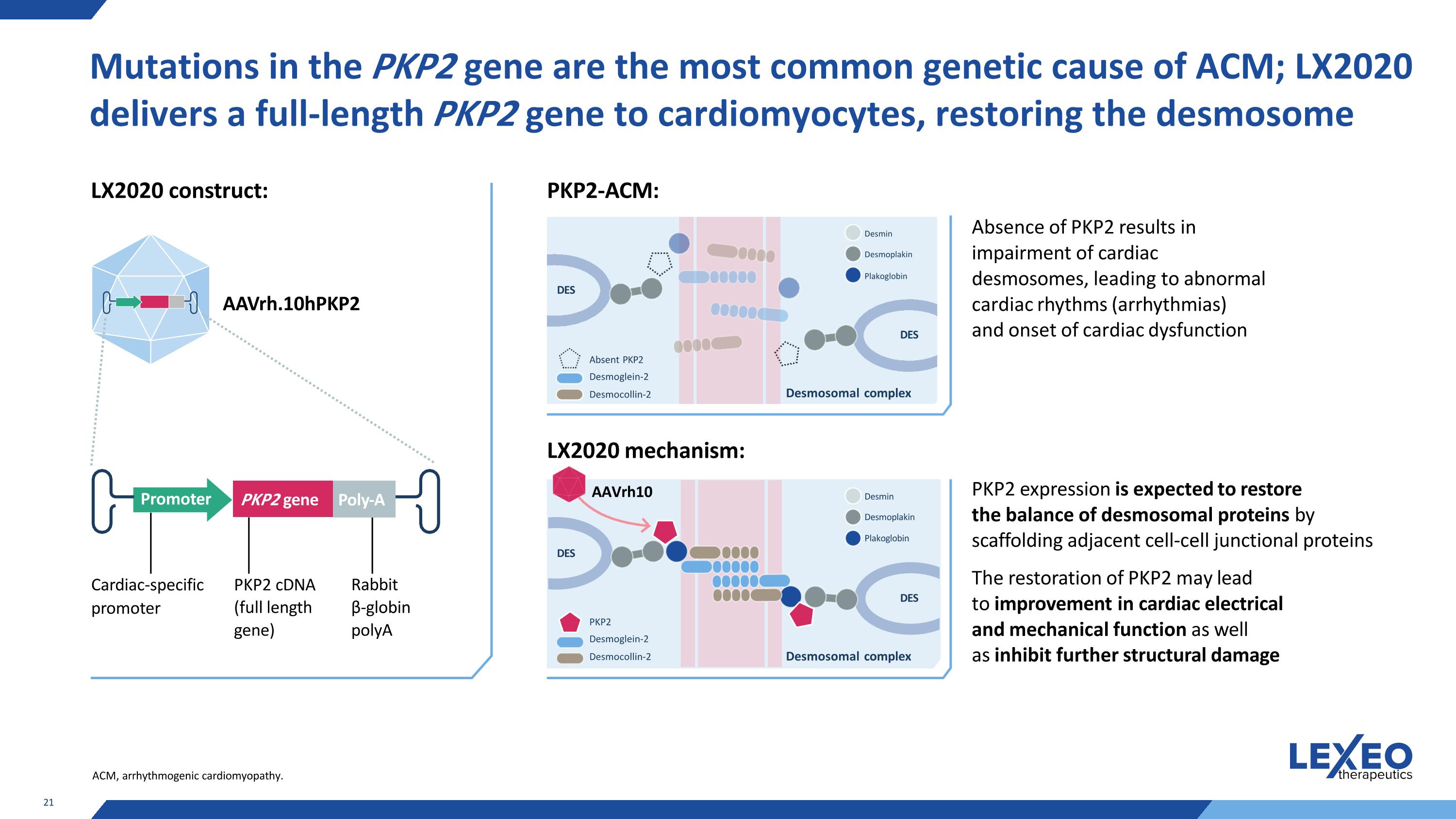 Slide 21