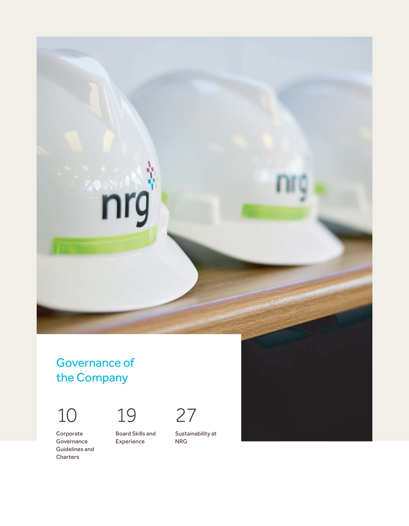 [MISSING IMAGE: pg_governancecomp-4clr.jpg]