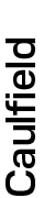 https://cdn.kscope.io/af0ea4c78368a0029b75dcc63d49cffd-04_PRO014126_gfx_Vertical Names_Caulfield.jpg