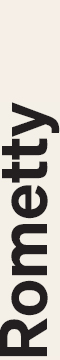 https://cdn.kscope.io/b130624bd5a5c3aa59fa929e17a785fd-04_JPM_PXY_2026_ROMETTY.jpg