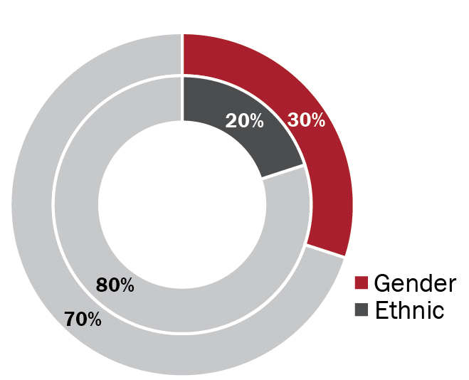 https://cdn.kscope.io/bb024b0d838be8d73414fa17f7583ed0-03 PRO013636_piechart_diversity.jpg