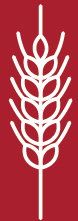 https://cdn.kscope.io/bb024b0d838be8d73414fa17f7583ed0-p8_iconproposal1.jpg