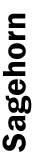 https://cdn.kscope.io/bb024b0d838be8d73414fa17f7583ed0-04 PRO013636_director-names__pörksen.jpg