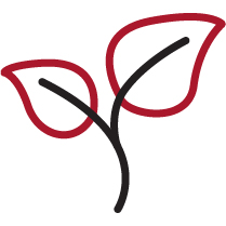 https://cdn.kscope.io/bb024b0d838be8d73414fa17f7583ed0-02 PRO013636_director-skills-and-exp_ESG.jpg