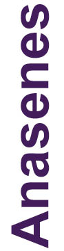 https://cdn.kscope.io/bffd32b7e9a5e1dbdcf88c32f9e0b0e5-04 PRO013418_names_anasenes.jpg