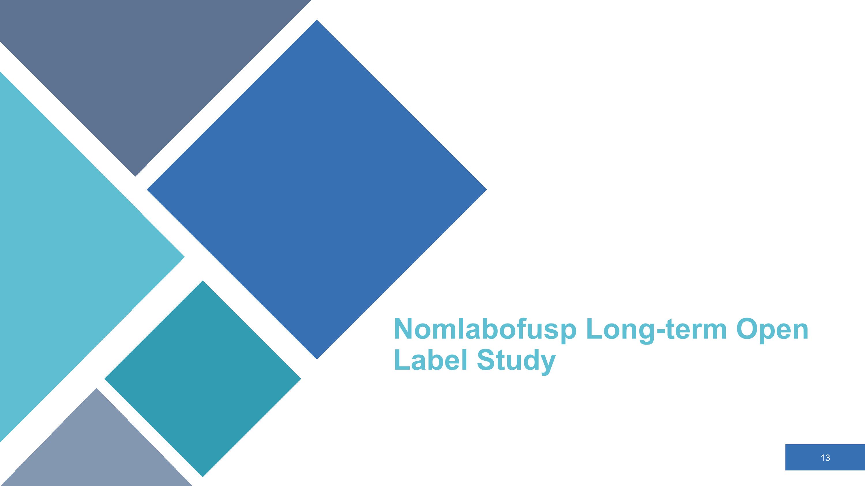 Slide 13