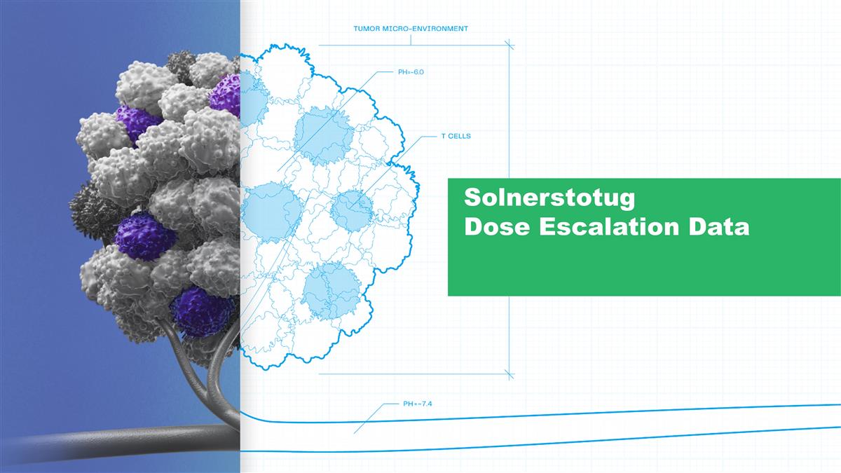 Slide 13