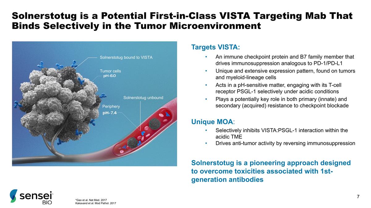 Slide 7