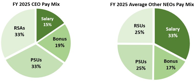 https://cdn.kscope.io/cb23c77d9d19f34fc64ed58333345ea4-2025 CEO Pay Mix 1 - V2.jpg