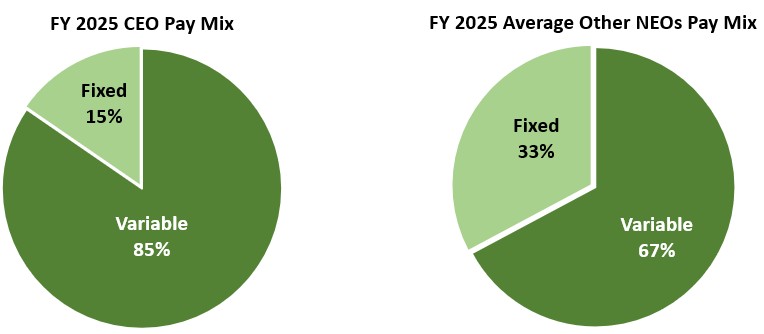 https://cdn.kscope.io/cb23c77d9d19f34fc64ed58333345ea4-2025 CEO Pay Mix 2 - V2.jpg