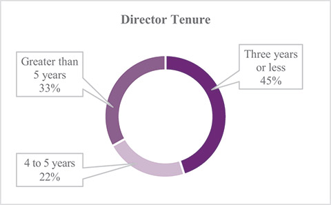 [MISSING IMAGE: pc_director-4c.jpg]