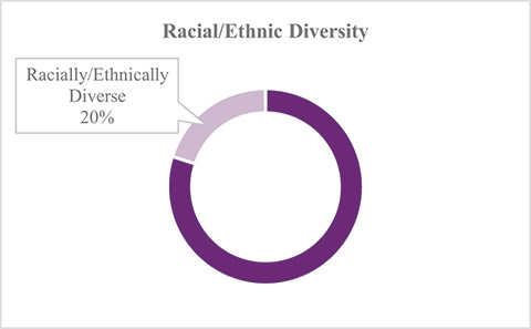 [MISSING IMAGE: pc_racial-4c.jpg]