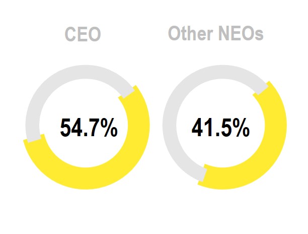 https://cdn.kscope.io/d63d10740dffc7b405a95800e149d73d-PRSUs Pie Chart.jpg