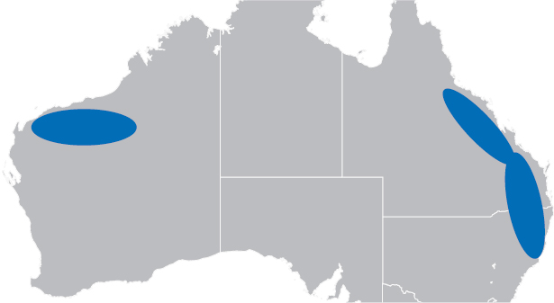 https://cdn.kscope.io/d64ca90486898fe52a472f60af136ef7-graphic_map_australia.jpg