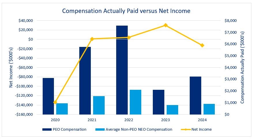 https://cdn.kscope.io/d64ca90486898fe52a472f60af136ef7-2024 PPP Net Income.jpg