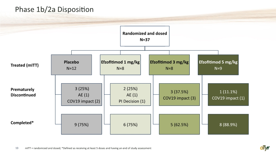 Slide 13