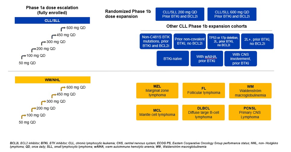 https://cdn.kscope.io/d651a161fa375c774c6a89d2961d6063-Bexdeg Phase 1 clinical study design.jpg