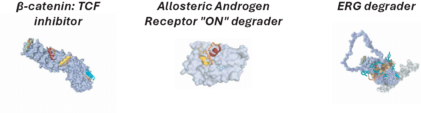 https://cdn.kscope.io/d70c9238033da469baad54689d7e5fb1-img78361224_5.gif