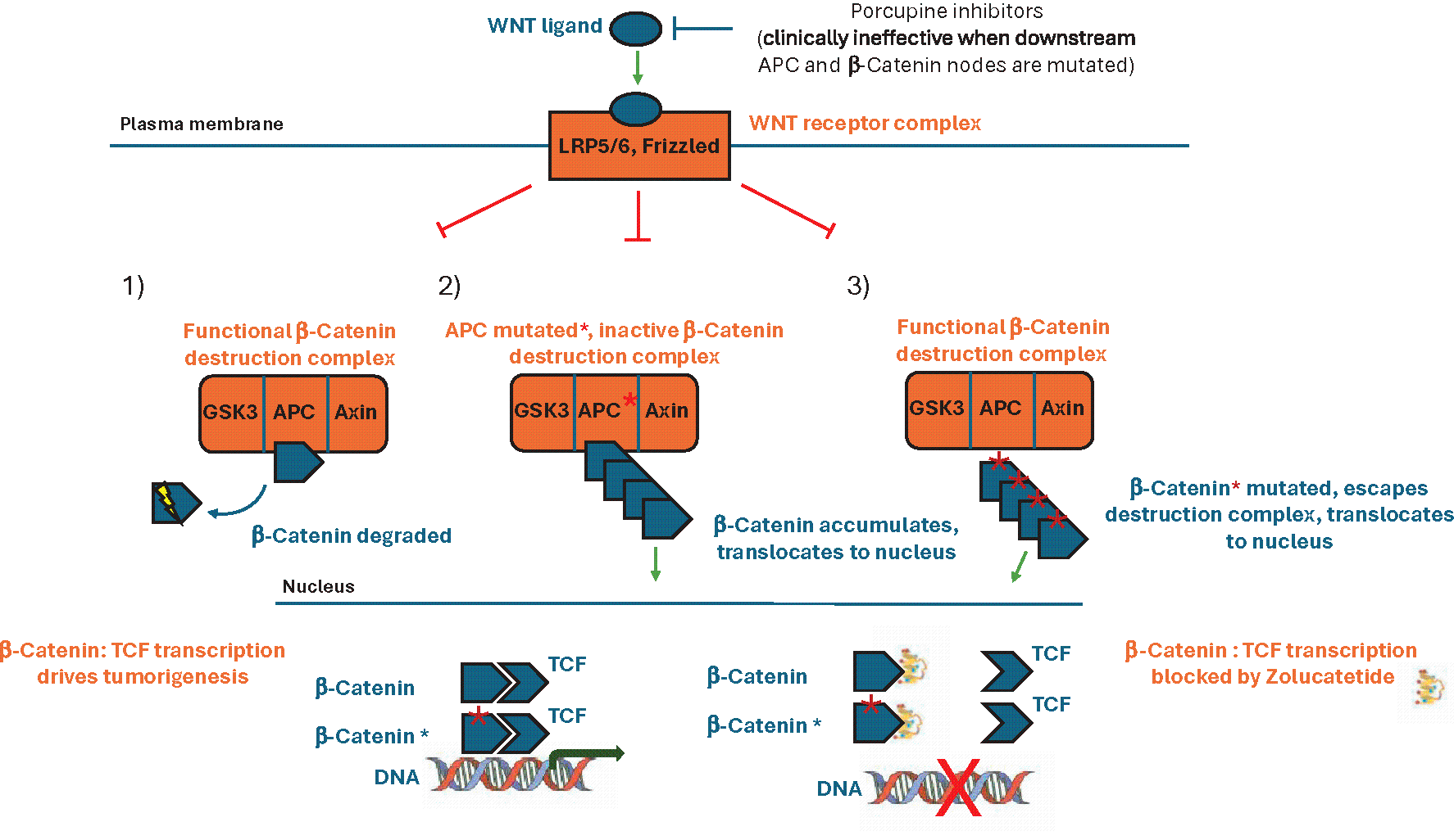 https://cdn.kscope.io/d70c9238033da469baad54689d7e5fb1-img78361224_7.gif