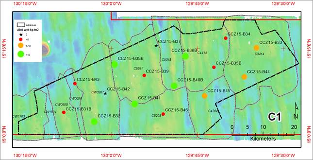 A map with different colored circles
AI-generated content may be incorrect.