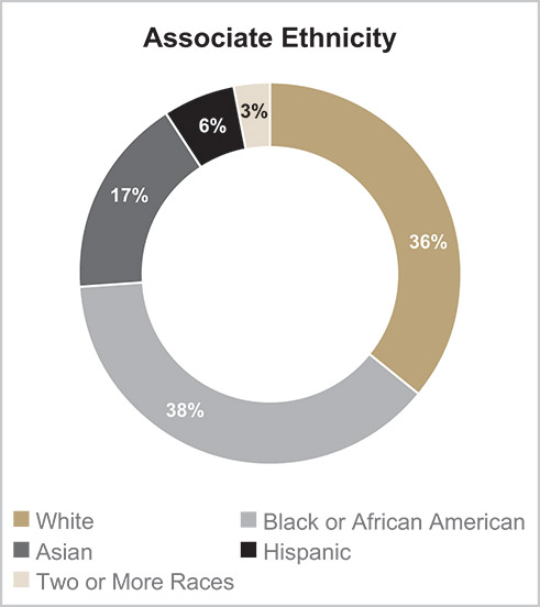 [MISSING IMAGE: pc_assoethni-pn.jpg]