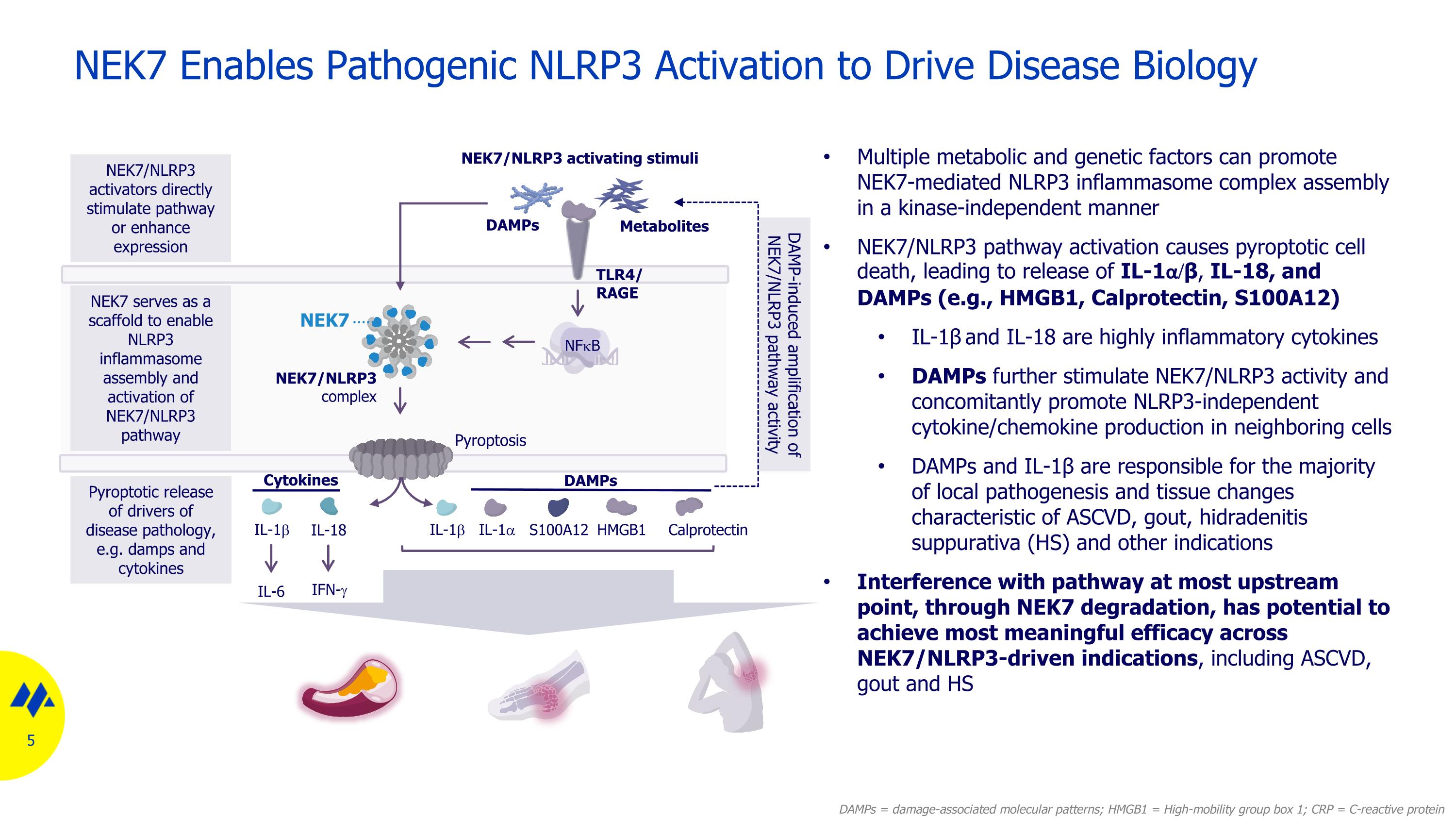 Slide 5