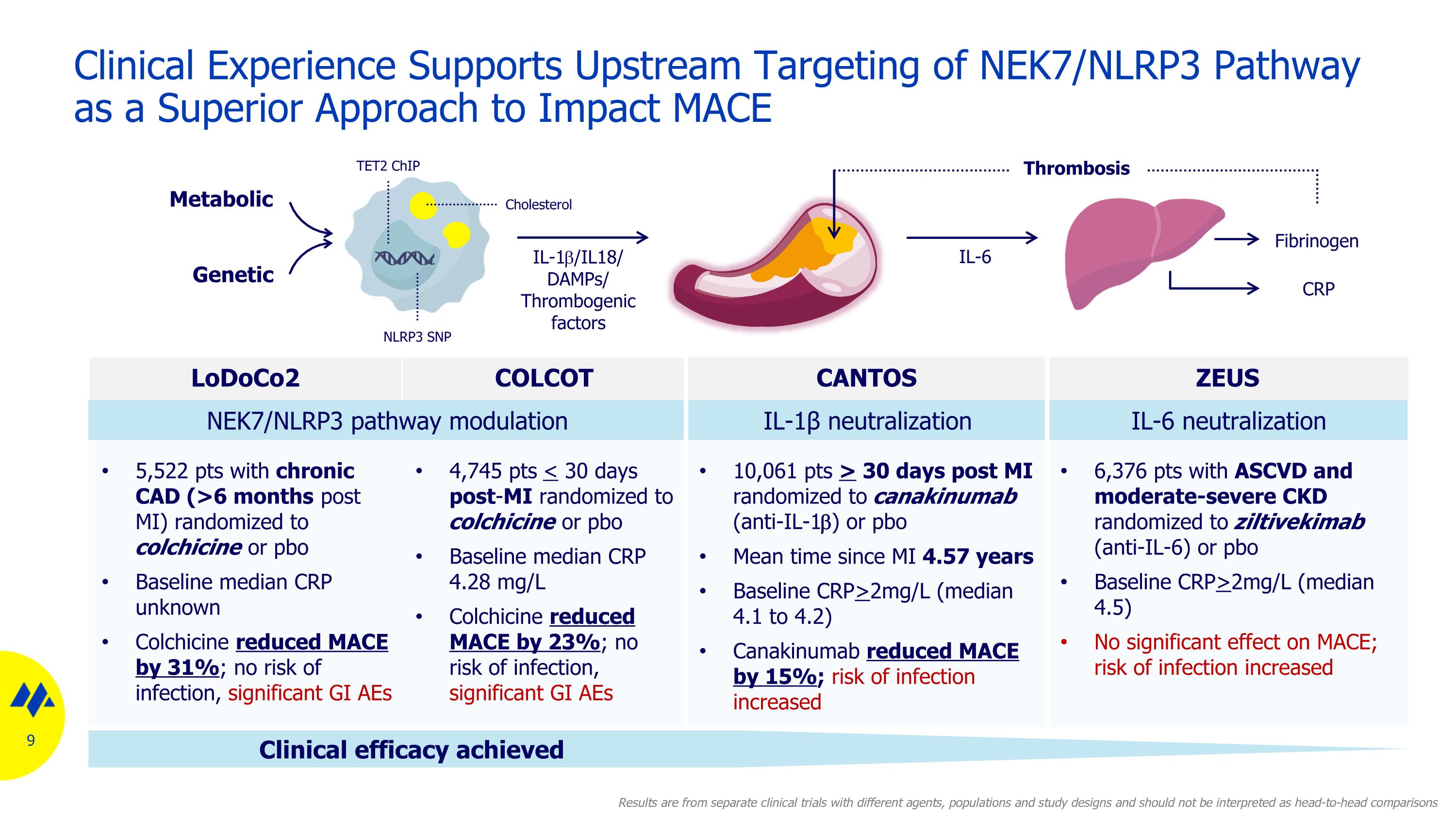 Slide 9