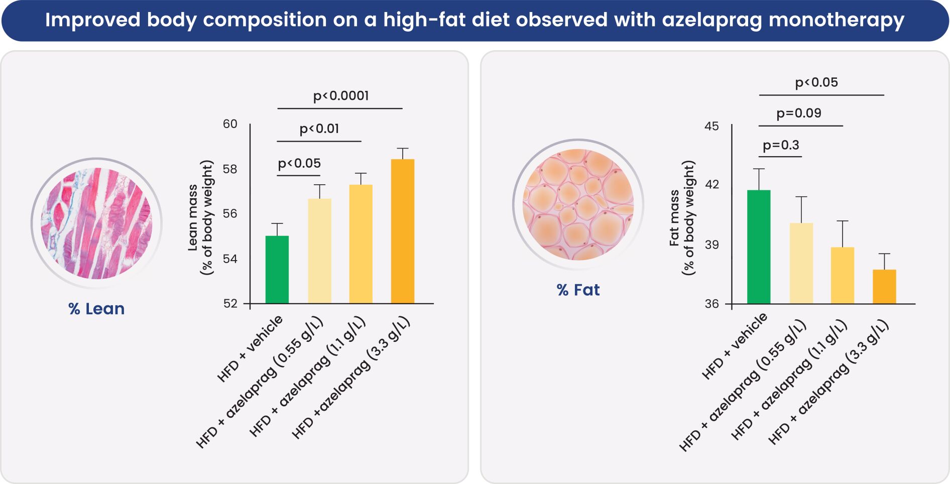 SEC Filing | BioAge Labs, Inc.
