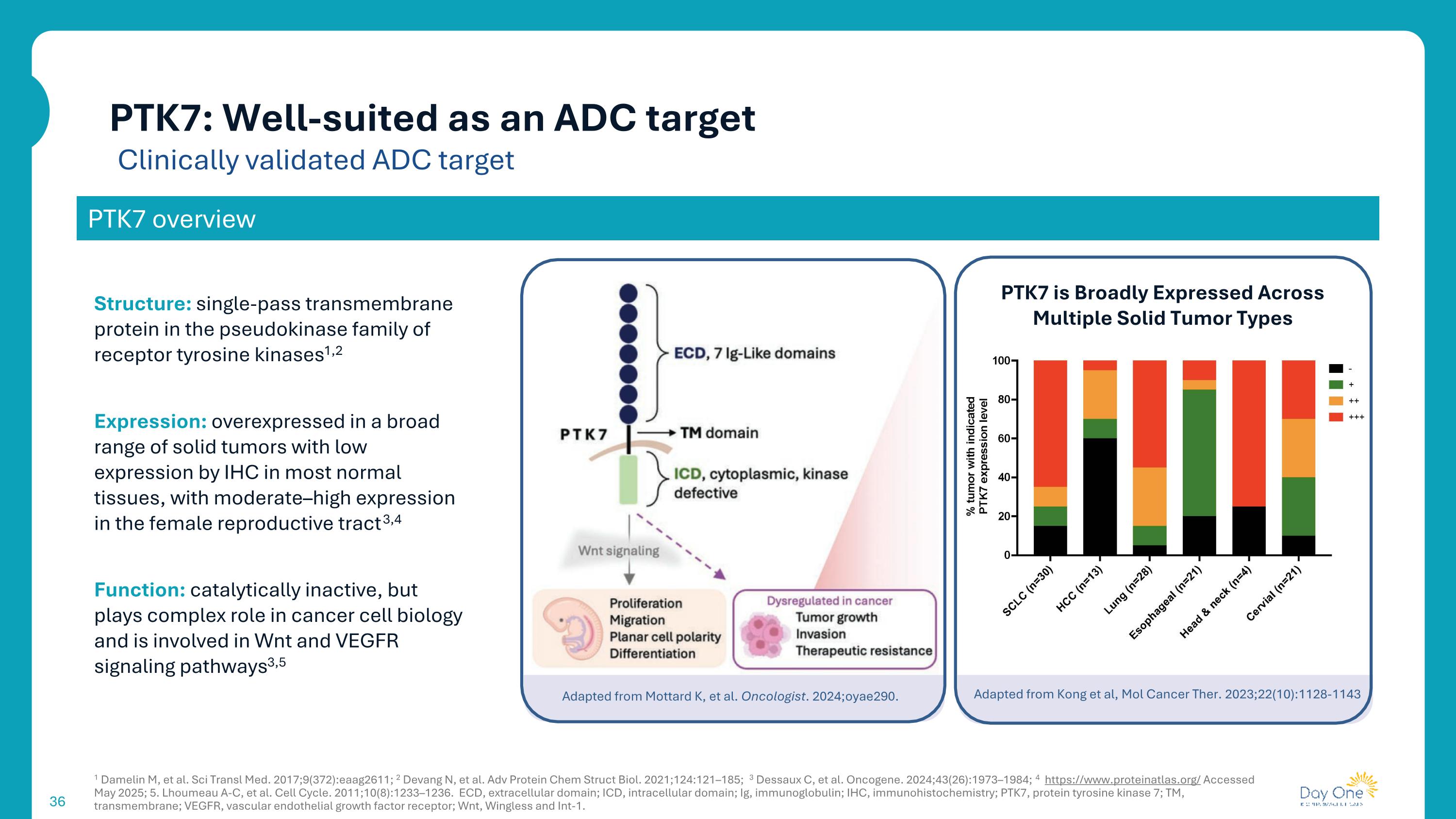 Slide 36