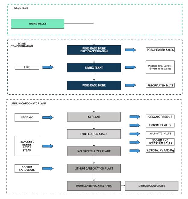 A diagram of a plant

AI-generated content may be incorrect.